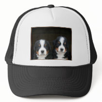 Bernese mountain dog puppies cap mesh hats