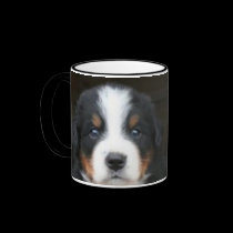 Bernese mountain dog puppies mug mugs