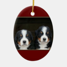 Bernese mountain dog puppies ornament