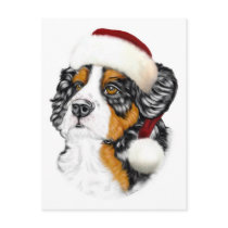 Bernese Mountain Dog Santa Pup Postcard