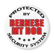 Bernese Mountain Dog Security magnets by DanesRUs Bernese Mountain Dog Security magnets