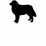 Bernese Mountain Dog Silhouette Tee Shirt