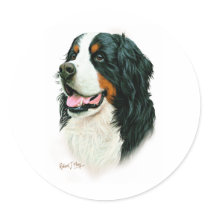 Bernese Mountain Dog Sticker