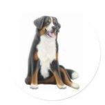 Bernese Mountain Dog Sticker