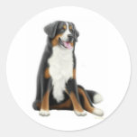 Bernese Mountain Dog Sticker