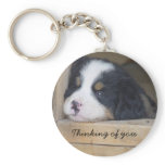 Bernese Mountain Dog -  Thinking of you key chain
