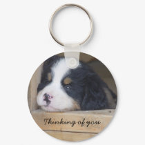 Bernese Mountain Dog -  Thinking of you key chain keychains