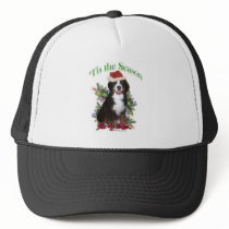 Bernese Mountain Dog ‘Tis Mesh Hats