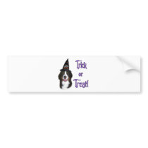 Bernese Mountain Dog Trick Bumper Stickers
