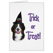 Bernese Mountain Dog Trick Greeting Cards