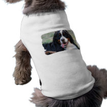 Bernese Mountain Dog with Big Tongue Pet Shirt