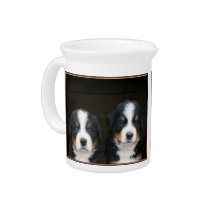 Bernese mountain dogs beverage pitchers