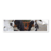 Bernese Mountain Dogs Bumper Sticker