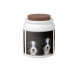 Bernese mountain dogs candy jar