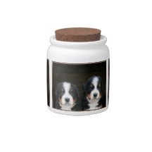 Bernese mountain dogs candy jar