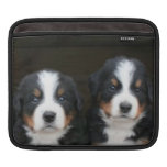 Bernese mountain dogs Rickshaw iPad Sleeves