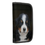 Bernese mountain dogs Rickshaw Organizer