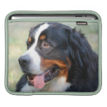 Bernese Mountain Puppy iPad Sleeve