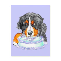 Bernese Mt Dog Cake Face Birthday Postcards