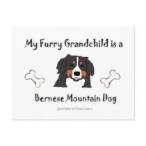 Bernese Post Cards