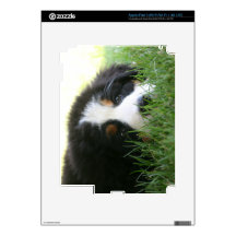 Bernese Puppy iPad 3 Skins