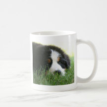 Bernese Puppy Mugs
