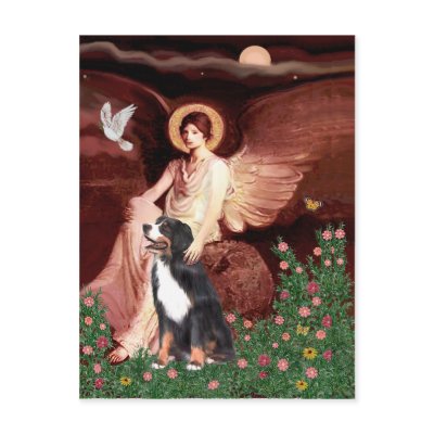 Bernese - Seated Angel Postcards by masterpiecedogs