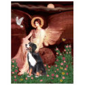 Bernese - Seated Angel t-shirts