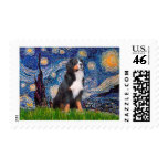 Bernese - Starry Night Postage