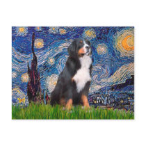 Bernese - Starry Night Post Card