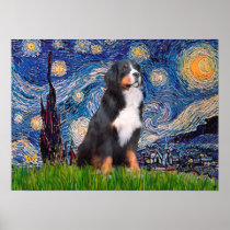 Bernese - Starry Night Posters