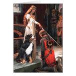 Bernese - The Accolade Greeting Cards