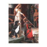 Bernese - The Accolade Postcard