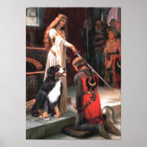 Bernese - The Accolade Posters