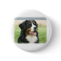 Bernese untain Dog 9Y066D-046 Pinback Buttons