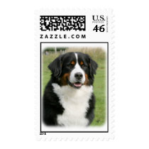 Bernese untain Dog 9Y236D-106 Stamps
