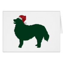 Bernese untain Dog Greeting Cards
