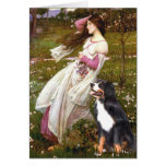 Bernese - WIndflowers Card