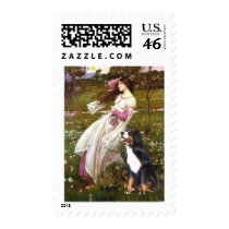 Bernese - WIndflowers Postage Stamp