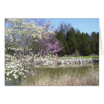Bernheim Forest Pond cards by SuRi_Photography Bernheim Forest Pond cards