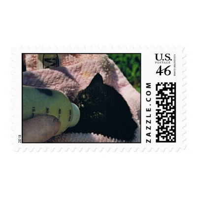 BERNIE BABY BOTTLE-FED KITTEN USPS POSTAGE by colts1673