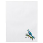 Bernie Blue Jay Flyer