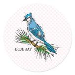 Bernie Blue Jay Stickers