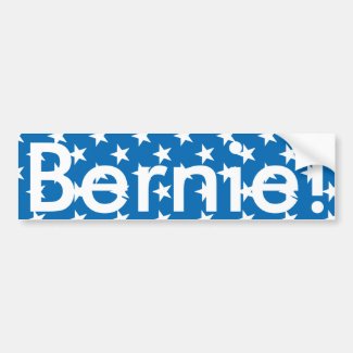 Bernie Bumper Sticker