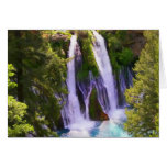 Bernie Falls - California cards