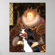 Bernsese Mt Dog - Queen Elizabeth Posters