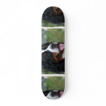 bernSweet Bernese Skateboard