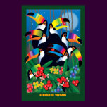 BERRIED IN TOUCANS