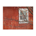 Berries and Barn Post Cards