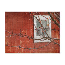 Berries and Barn Post Cards